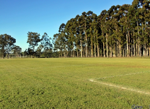 Imagen de Montevideo Cricket Club