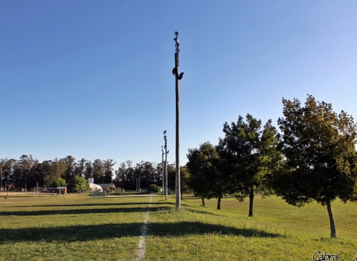 Imagen de Montevideo Cricket Club