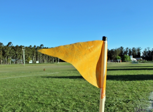 Imagen de Montevideo Cricket Club