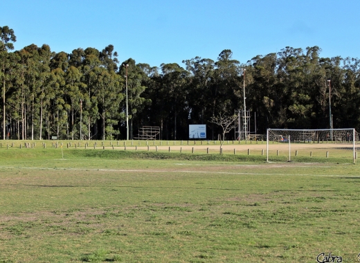 Imagen de Montevideo Cricket Club