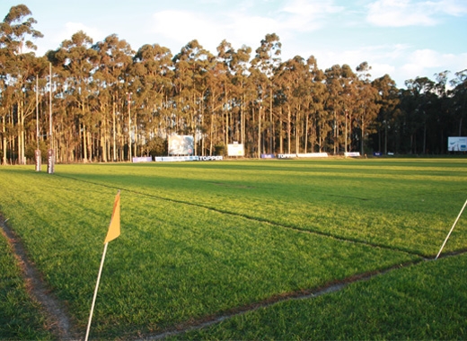 Imagen de Montevideo Cricket Club