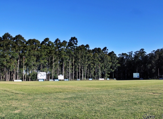 Imagen de Montevideo Cricket Club
