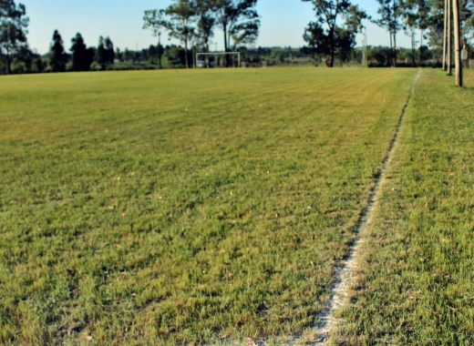 Imagen de Montevideo Cricket Club