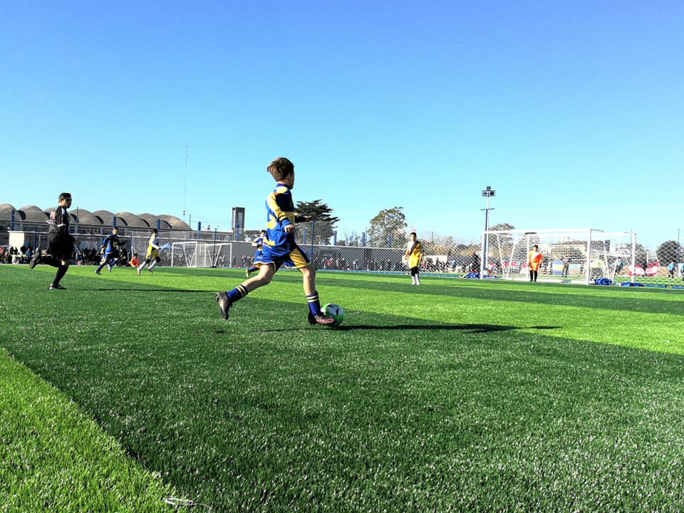 Imagen de Polideportivo Carrasco